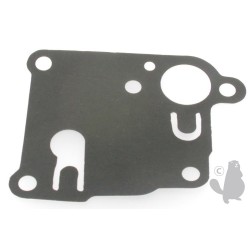 membrane pour briggs&stratton