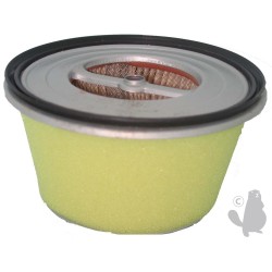 Filtre à air adaptable pour HONDA G200 & GV200