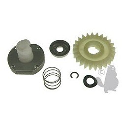 Kit pignon pour démarreur électrique adaptable Briggs & Stratton