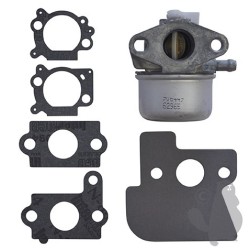 Carburateur BRIGGS & STRATTON 790120 pour INTEK OHV 6CV
