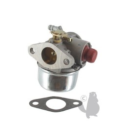 Carburateur pour TECUMSEH pour modèles OHH45, OHH50