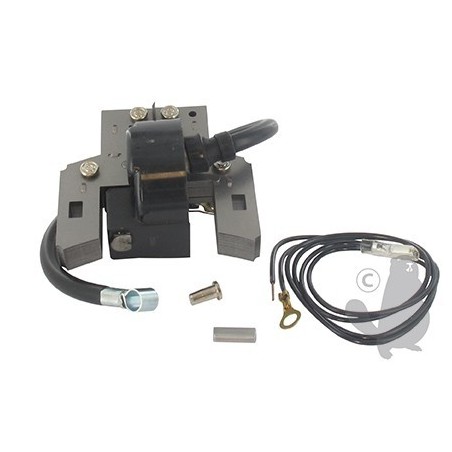 bobine pour briggs et stratton