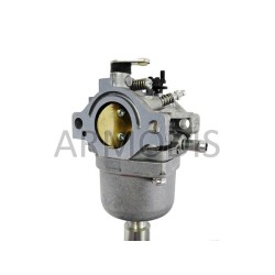 carburateur briggs stratton 698620 - 791886 - 499153 - 799727