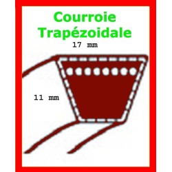 courroie moteur / lames pour eden parc TCP 102 Hydro