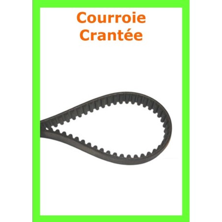courroie pour john deere LTR180  courroie crantée inter lames