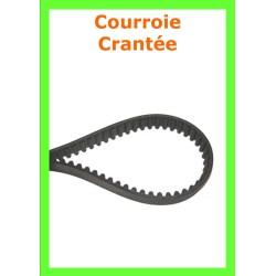 courroie inter lames crantée pour autoportée viking MT 780