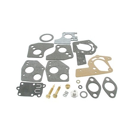 kit réparation carburateur briggs&straton