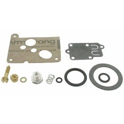 kit réparation carburateur briggs&straton