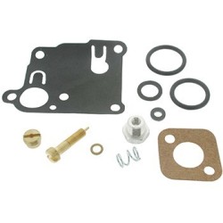 kit réparation carburateur briggs&straton