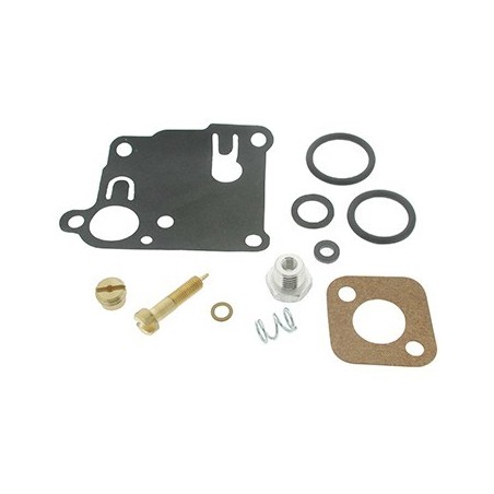 kit réparation carburateur briggs&straton
