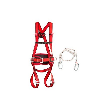 harnais d'élagage antichute