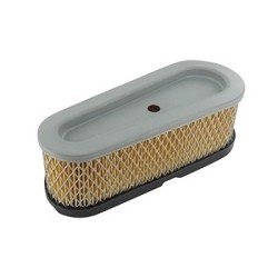 filtre à air pour briggs stratton 691667 - 493910