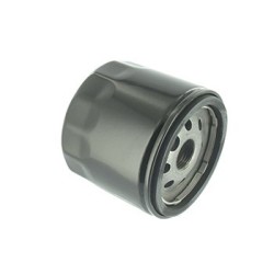 filtre a air pour kohlerSST15, L100, LX173 - KOHLER: CH18 & CH20