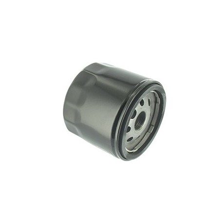 filtre a air pour kohlerSST15, L100, LX173 - KOHLER: CH18 & CH20