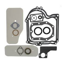 pochette de joints pour briggs stratton  référence 393411
