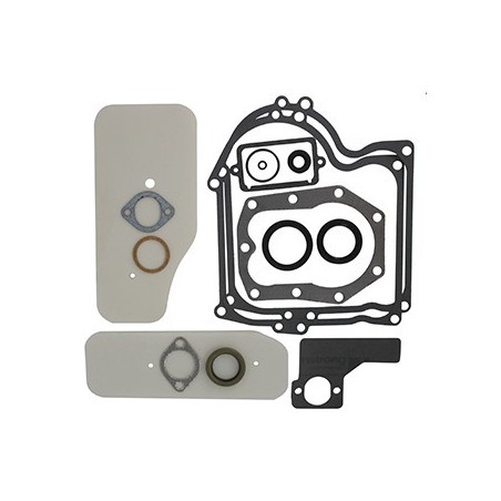 pochette de joints pour briggs stratton  référence 393411