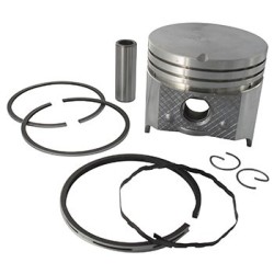 piston complet pour moteur briggs stratton origine: 390364
