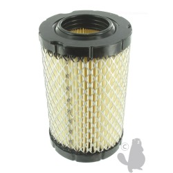 Filtre à air pour briggs stratton