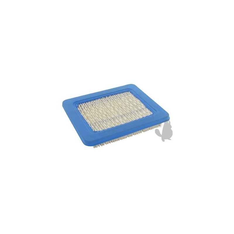 filtre à air pour briggs stratton