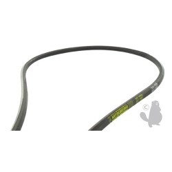 Courroie hexagonale renforcée