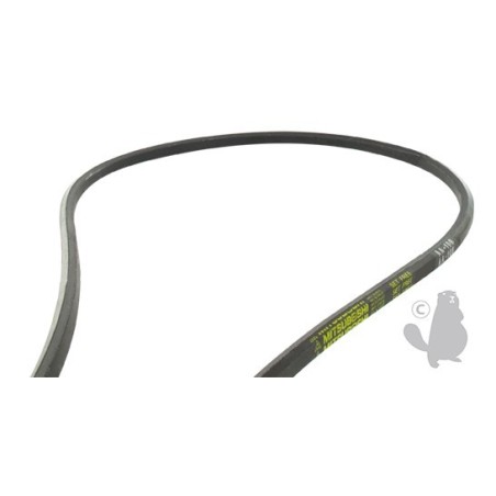 Courroie hexagonale renforcée