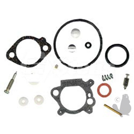 kit réparation carburateur briggs stratton
