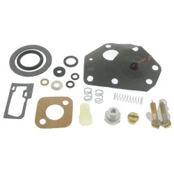 kit réparation carburateur briggs&straton
