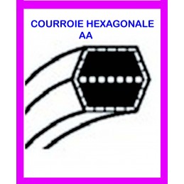 courroie pour CTH 160 II